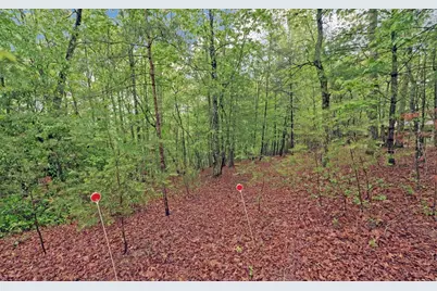 100 Carvers View Trail, Murphy, NC 28906 - Photo 44