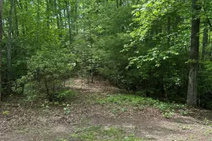 00 Sierra Springs, Murphy, NC 28906 - Photo 1