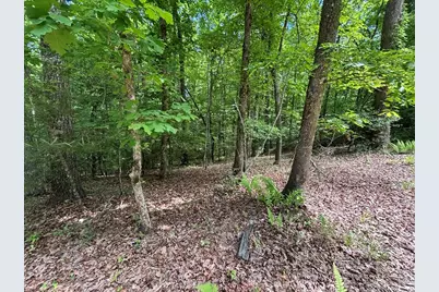 Lot 1B Forest Lane, Murphy, NC 28906 - Photo 6