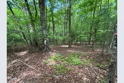 Lot 1B Forest Lane, Murphy, NC 28906 - Photo 8
