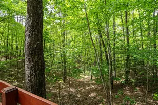 9 Settlers Crossing Way, Murphy, NC 28906 - Photo 42