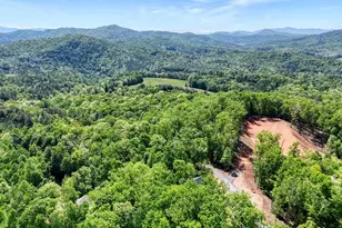 296 Peaks Dr, Hayesville, NC 28904 - Photo 14