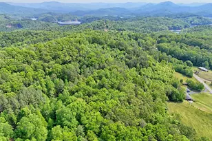 3235 Hiwassee Dam Access Rd, Murphy, NC 28906 - Photo 18