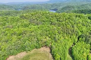 3235 Hiwassee Dam Access Rd, Murphy, NC 28906 - Photo 16