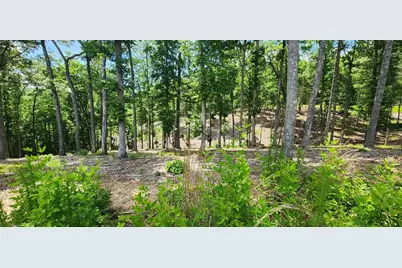 Lt 106 Split Creek Road, Morganton, GA 30560 - Photo 1