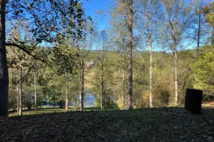 121 White Oak Dr, Warne, NC 28909 - Photo 42