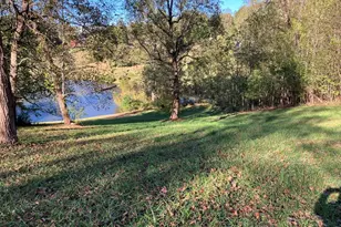 121 White Oak Dr, Warne, NC 28909 - Photo 44