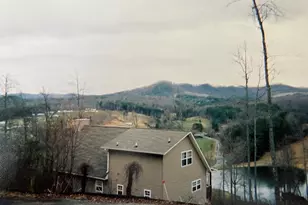 121 White Oak Dr, Warne, NC 28909 - Photo 2