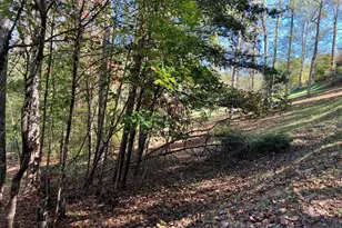 121 White Oak Dr, Warne, NC 28909 - Photo 54