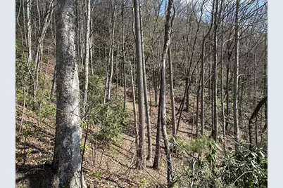 Lot 5 Huffman Creek Road, Robbinsville, NC 28771 - Photo 10