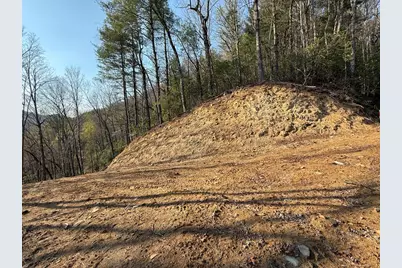 Lot 5 Huffman Creek Road, Robbinsville, NC 28771 - Photo 6