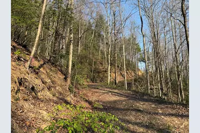 Lot 5 Huffman Creek Road, Robbinsville, NC 28771 - Photo 4