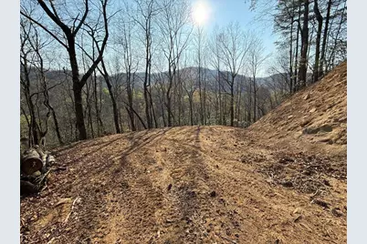 Lot 5 Huffman Creek Road, Robbinsville, NC 28771 - Photo 1