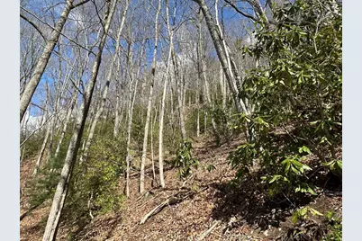 Lot 5 Huffman Creek Road, Robbinsville, NC 28771 - Photo 6