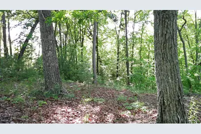 00 Fain Peak, Murphy, NC 28906 - Photo 4