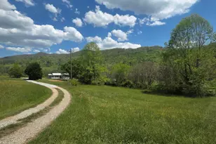 234 George Millsaps Rd, Robbinsville, NC 28771 - Photo 24