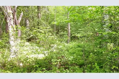 00 McDonald Road, Murphy, NC 28906 - Photo 8