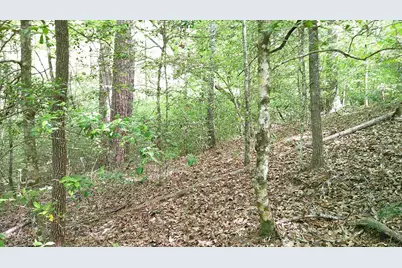 00 McDonald Road, Murphy, NC 28906 - Photo 10