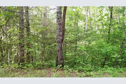 00 McDonald Road, Murphy, NC 28906 - Photo 12