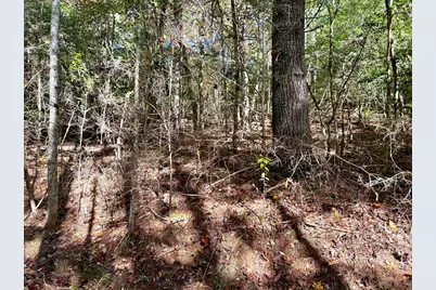 Lot 6 Beaverdam Loop, Murphy, NC 28906 - Photo 1