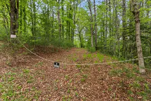 149 Sandy Ln, Murphy, NC 28906 - Photo 100