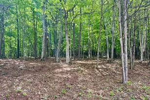876 Gibson Hill Rd, Hiawassee, GA 30546 - Photo 56