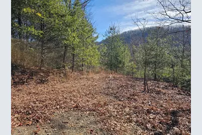 51 Kudzu Creek Trail, Murphy, NC 28906 - Photo 6