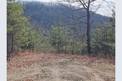 51 Kudzu Creek Trail, Murphy, NC 28906 - Photo 10