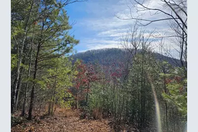 51 Kudzu Creek Trail, Murphy, NC 28906 - Photo 2