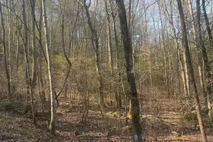 Lot 12 Rainbow Valley Dr, Murphy, NC 28906 - Photo 1