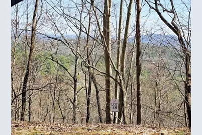 Lot 39 Merlin Trl / Warbler Road, Murphy, NC 28906 - Photo 6