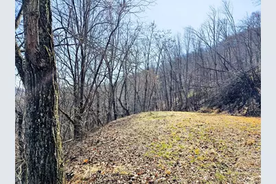 Lot 39 Merlin Trl / Warbler Road, Murphy, NC 28906 - Photo 2