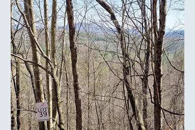 Lot 39 Merlin Trl / Warbler Road, Murphy, NC 28906 - Photo 16