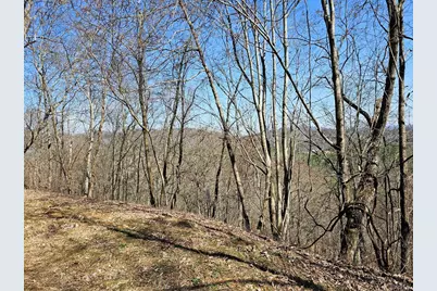 Lot 39 Merlin Trl / Warbler Road, Murphy, NC 28906 - Photo 4