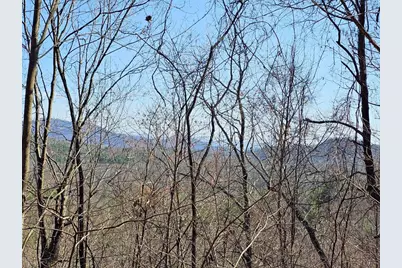 Lot 39 Merlin Trl / Warbler Road, Murphy, NC 28906 - Photo 1