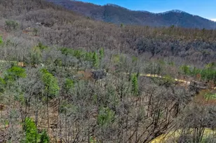 285 Peachtree Mountain Estates Road, Murphy, NC 28906 - Photo 78