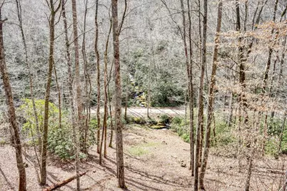 575 Carolina Springs Lane, Franklin, NC 28734 - Photo 52