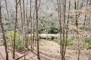 575 Carolina Springs Ln, Franklin, NC 28734 - Photo 52