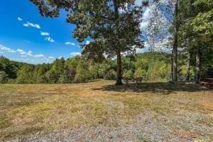 10007 Joe Brown Hwy, Murphy, NC 28906 - Photo 30