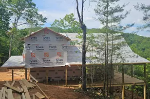 130 Hudson Springs Ln, Murphy, NC 28906 - Photo 2