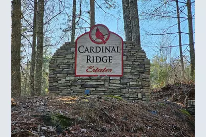 16 Merlin Trail, Murphy, NC 28906 - Photo 8