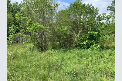 17.76 Ac Greasy Creek Road, Murphy, NC 28906 - Photo 10