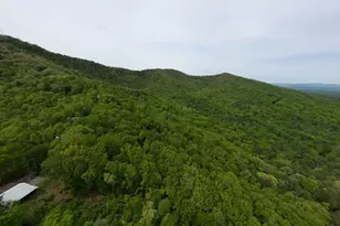529 Talulu Pass, Murphy, NC 28906 - Photo 58
