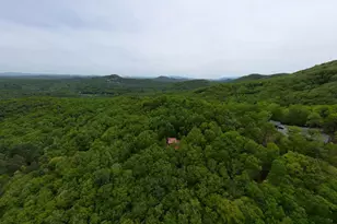 529 Talulu Pass, Murphy, NC 28906 - Photo 56