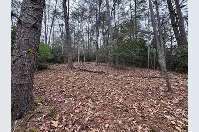 289 Paradise, Murphy, NC 28906 - Photo 8