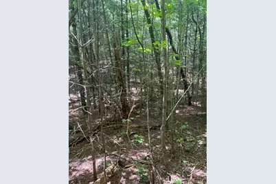 Lot 6&7 Donley Road, Murphy, NC 28906 - Photo 8