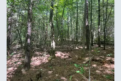 Lot 6&7 Donley Road, Murphy, NC 28906 - Photo 6