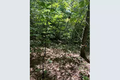 Lot 6&7 Donley Road, Murphy, NC 28906 - Photo 12
