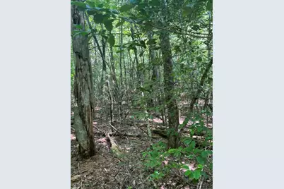 Lot 6&7 Donley Road, Murphy, NC 28906 - Photo 10