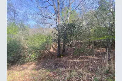 11 Ludlum Drive, Hayesville, NC 28904 - Photo 16